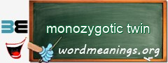 WordMeaning blackboard for monozygotic twin